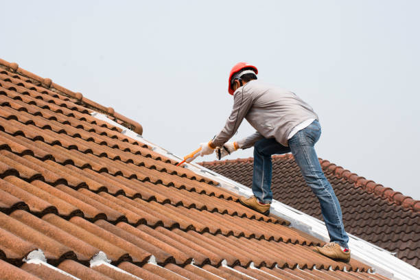 Professional Roofing services in Springfield, SD